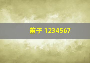 笛子 1234567